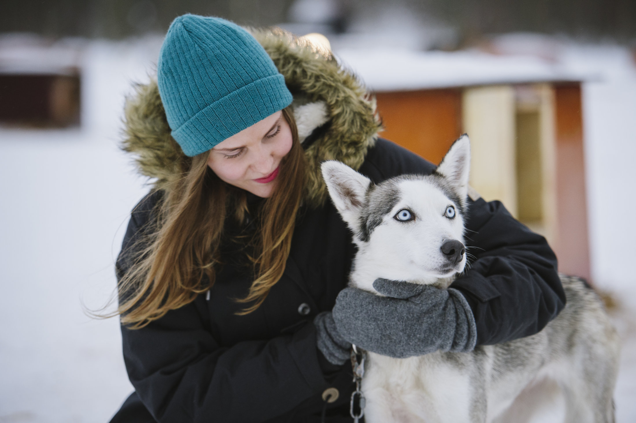 Husky-tours-and-farm-visits-rovaniemi-lapland-finland (3) - Lapland ...