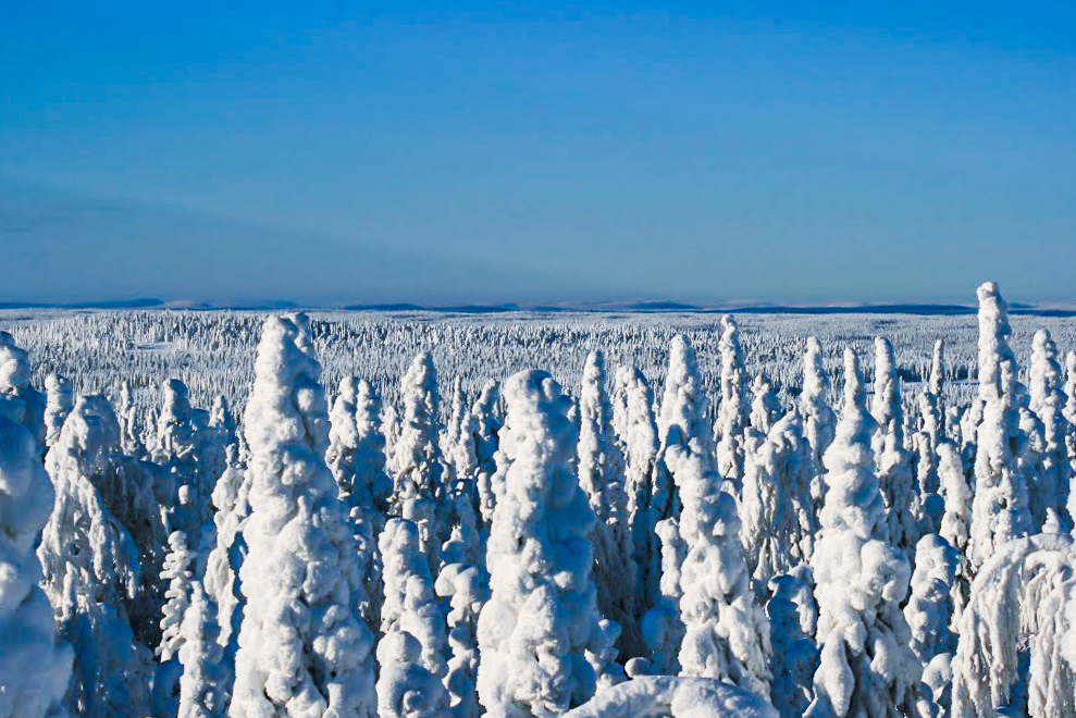 Paysages 2-2 - Lapland Welcome in Finland