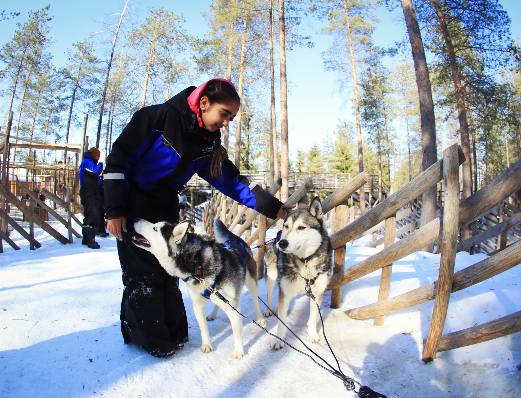 164A9363 Lapland Laponia Finlandia Safaris