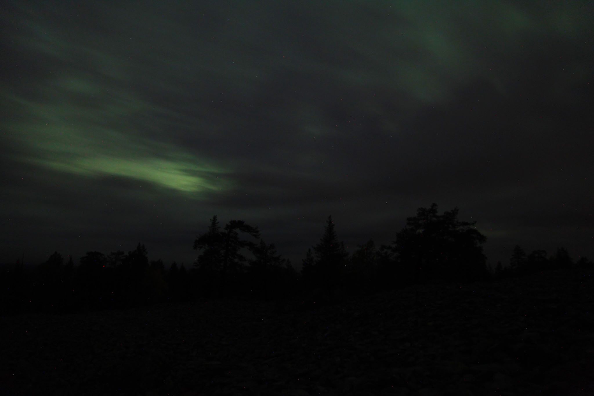 Auroras tour 11.09.2018 - Lapland Welcome in Finland