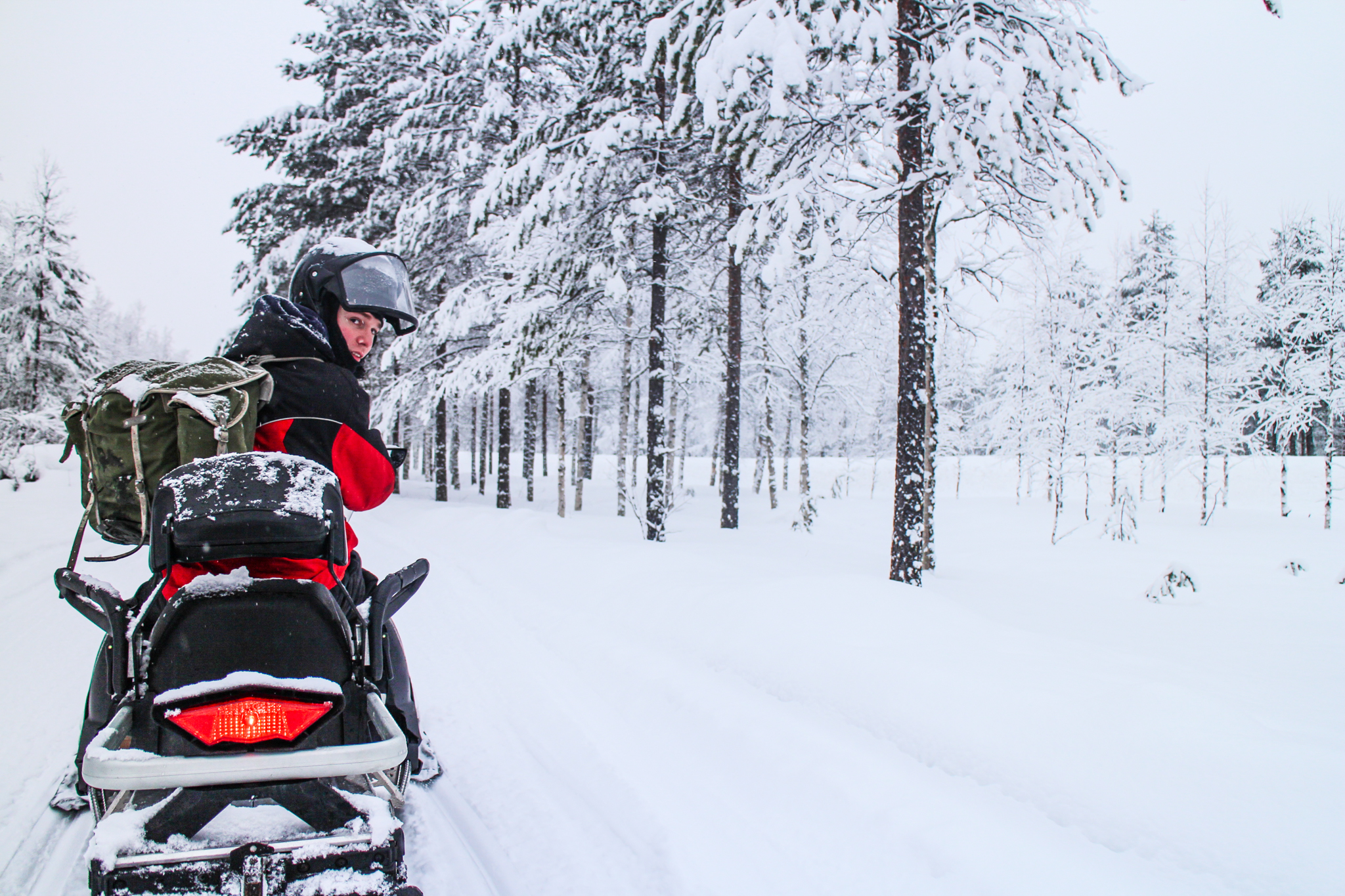 person on a snowmobile in snowy forest