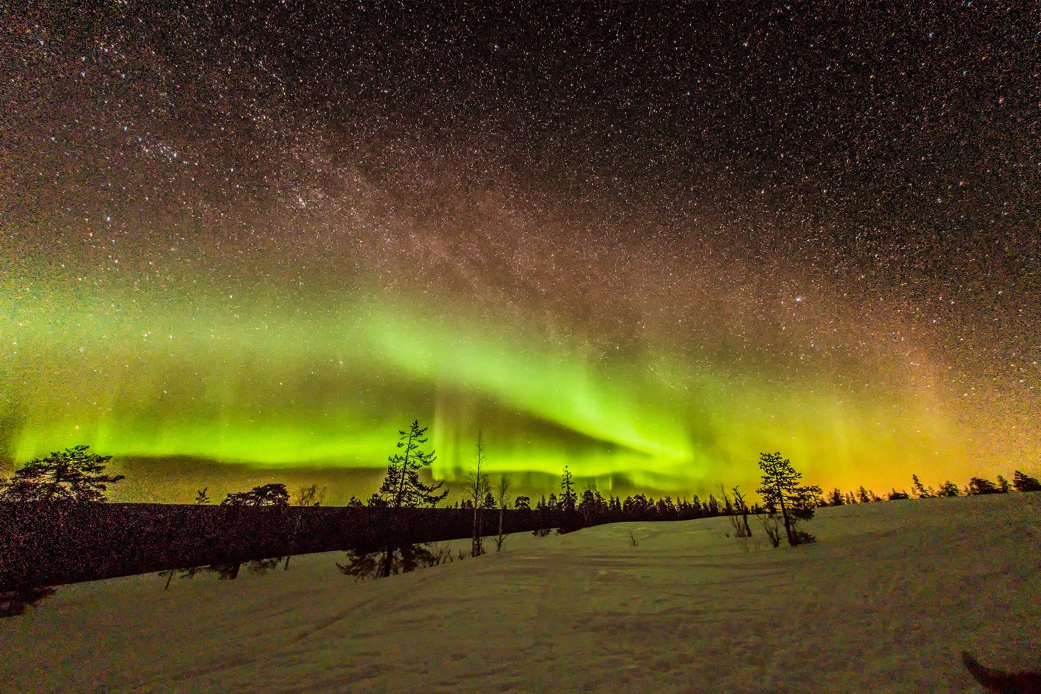 dark sky with bright stars and northern lights