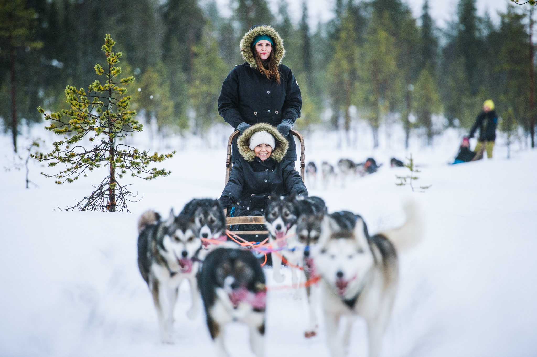 finland and lapland tours
