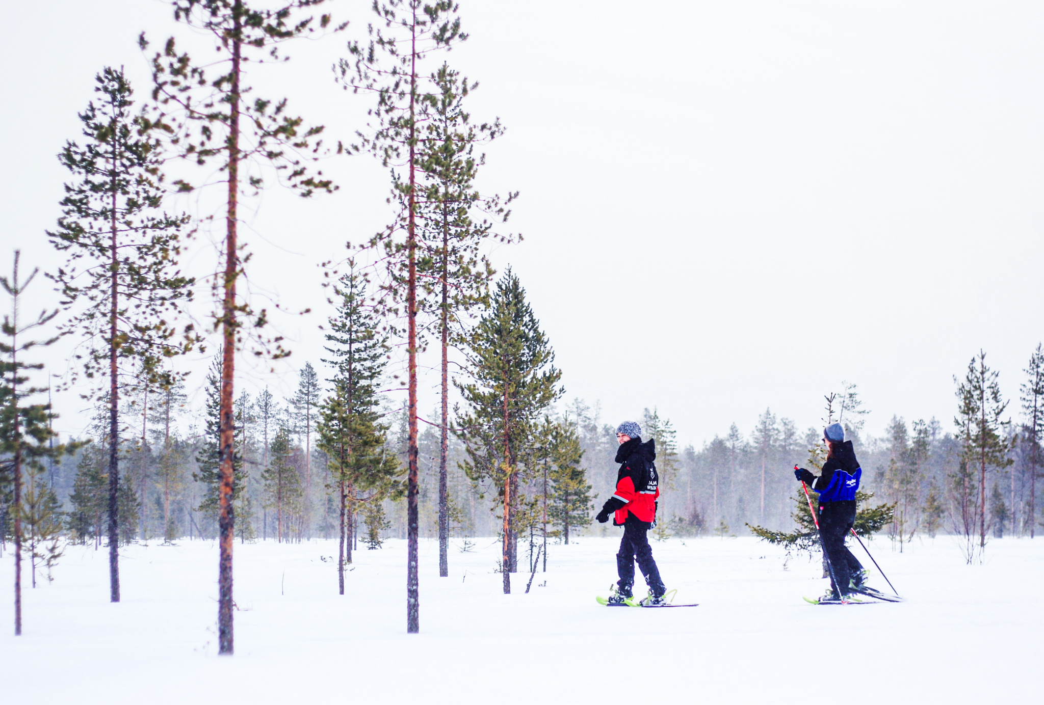 Snowshoe trip into the forest