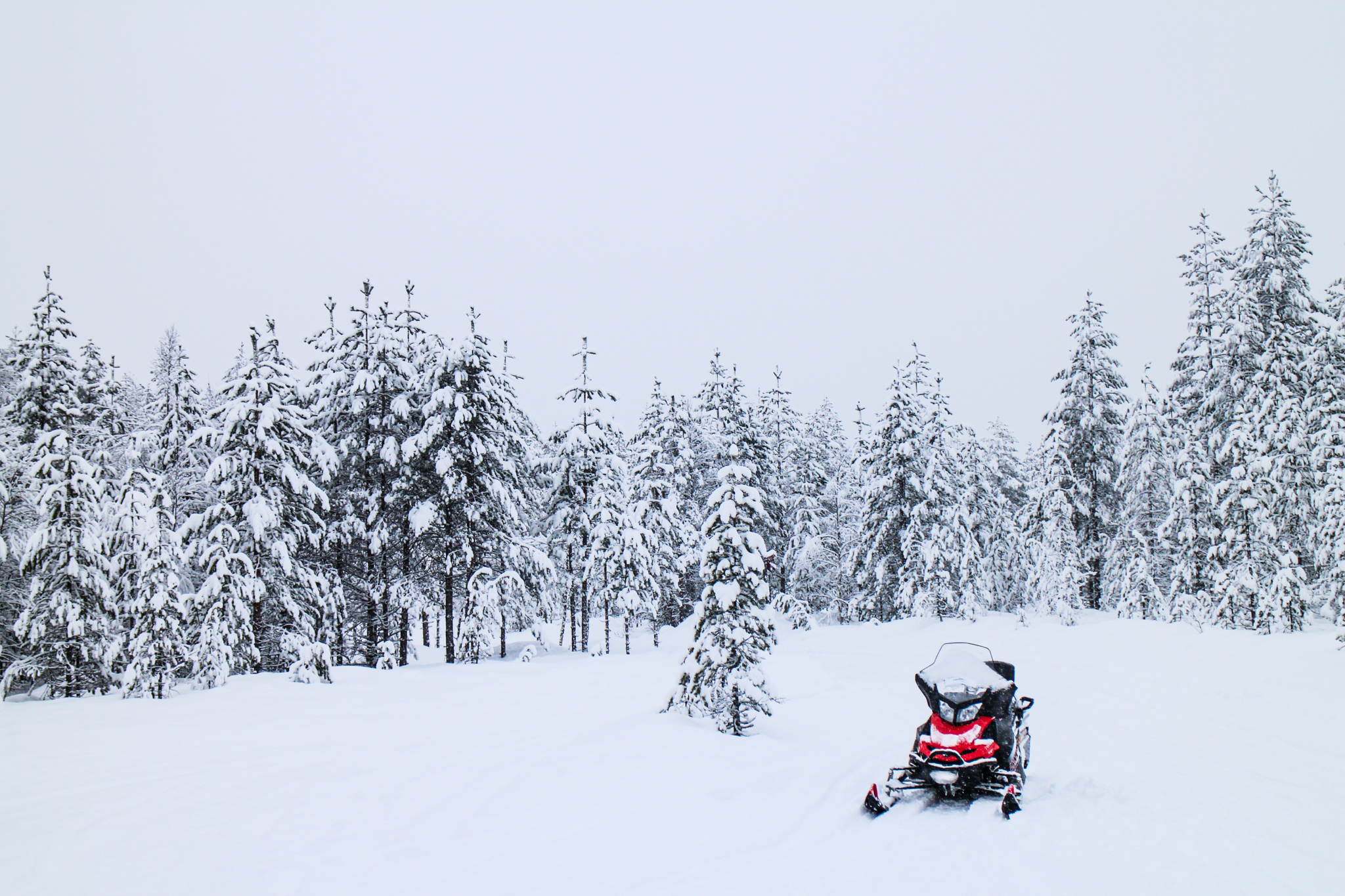 snowmobile in snowy forest