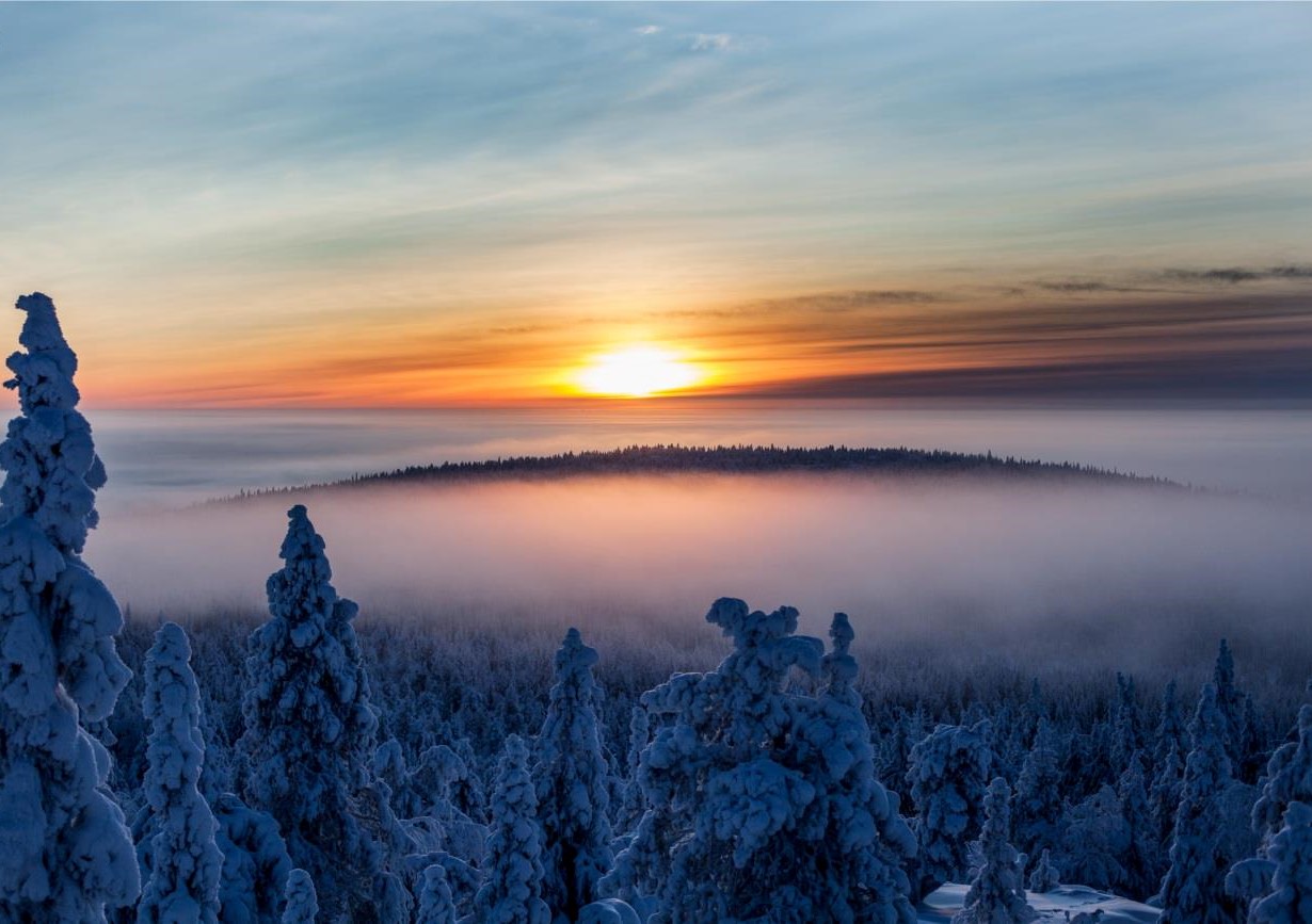 sunset and Landscape with snowy trees