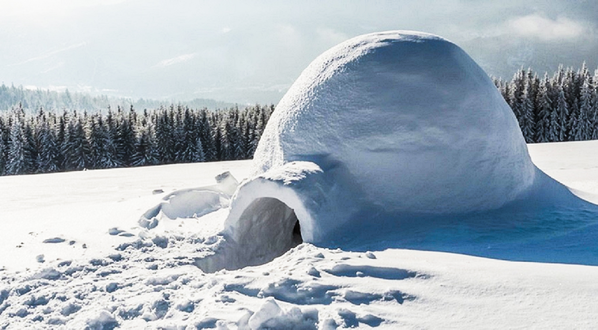 snow igloo in snowy landscape