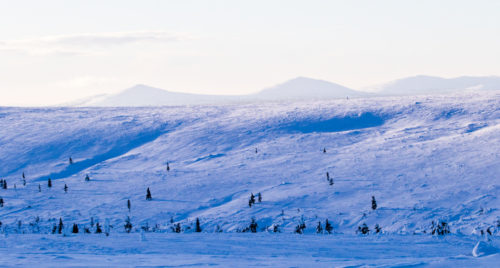 snowy landscape