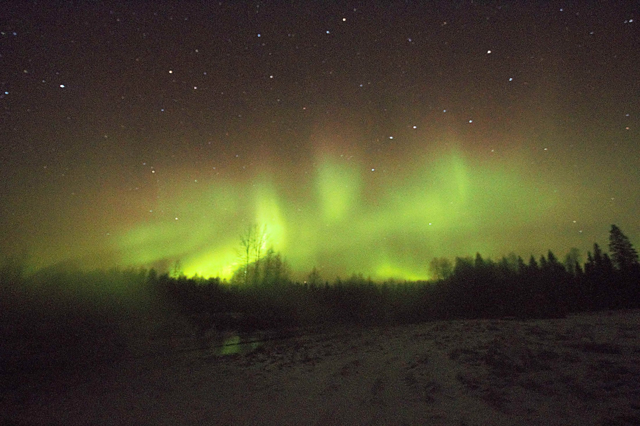 Great northern lights and a billion stars 10.11.21 - Lapland Welcome in ...