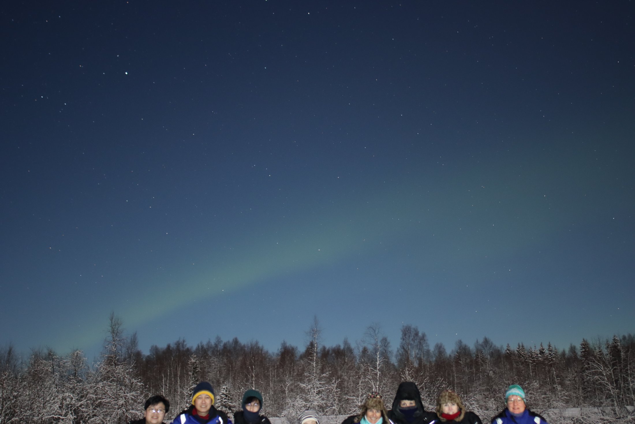 Wide eyed and moose less 301023 Lapland in Finland